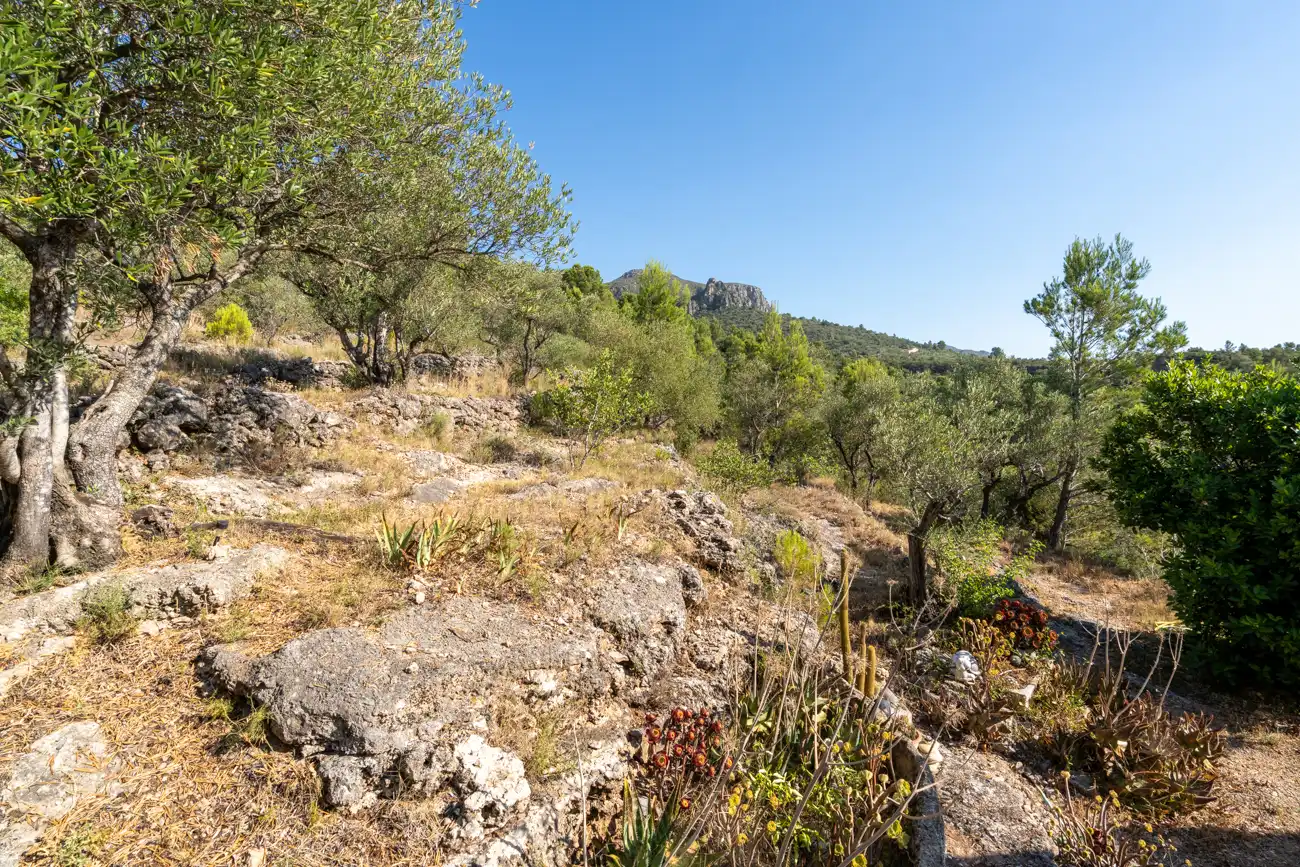 Grundstücke zum Verkauf in Roquetes