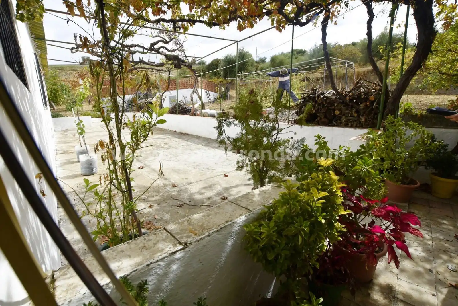 Casa rústica amb piscina en venda a Partidas Norte, imagen 26