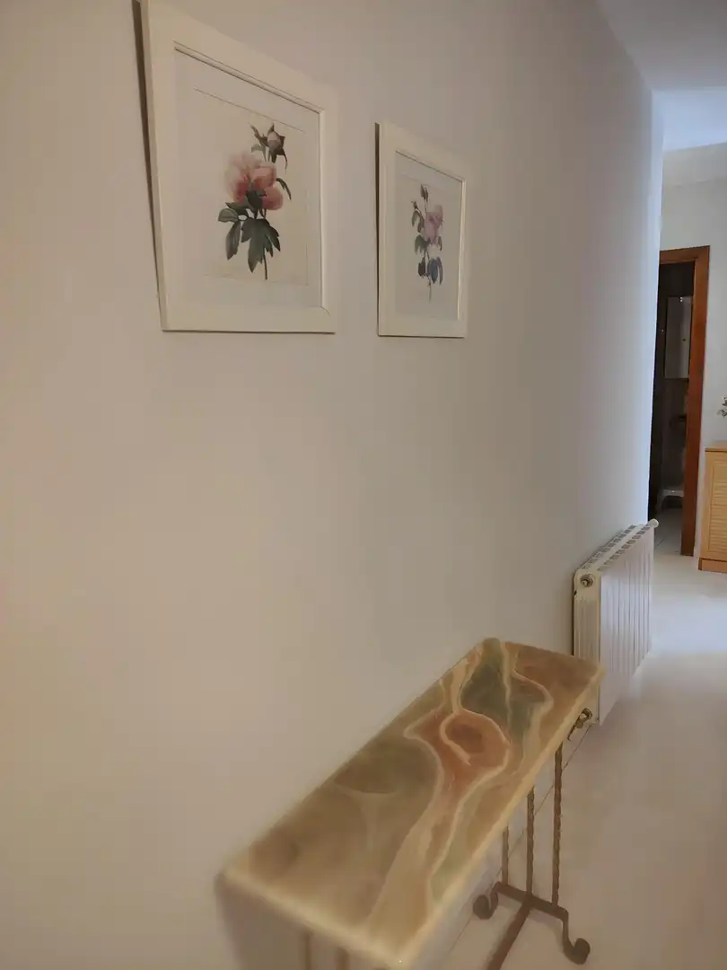 Flat with lift to rent in Calle NUEVA DE SAN ANTON, imagen 26