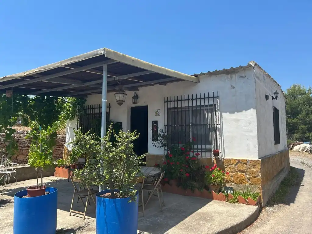 Vista exterior de Finca rústica en venta en Sot de Ferrer