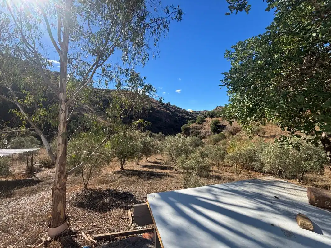 Finca rústica en venta en Polígono 23 Parcela 90 LAS FUENTES. ALMOGIA (MÁLAG, Almogía