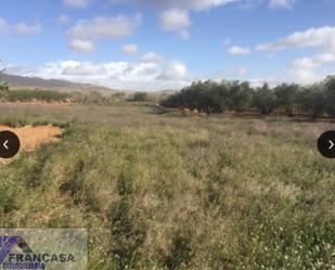 Finca rústica en venda en Cieza