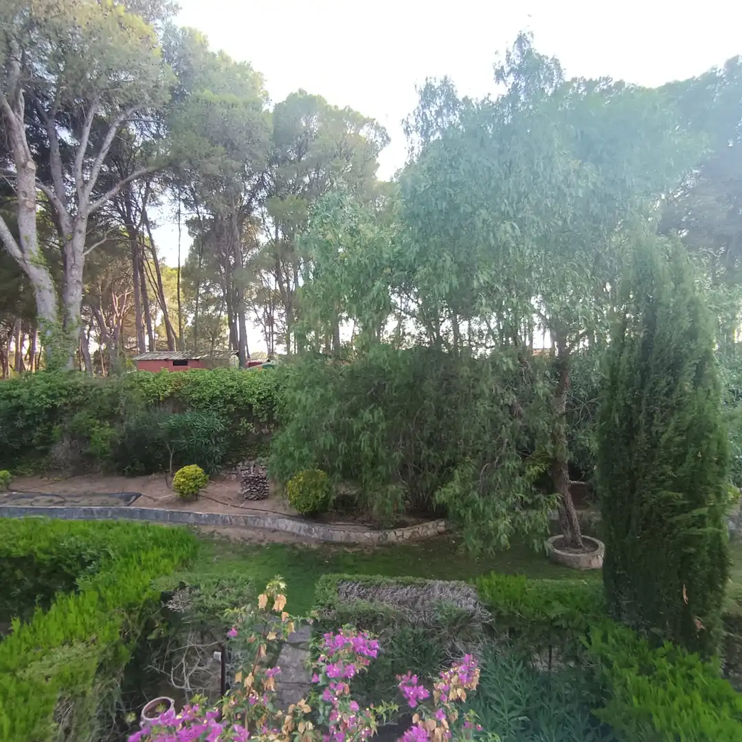 Duplex avec terrasse à vendre à Port - La Cota - Puig Sec, imagen 18