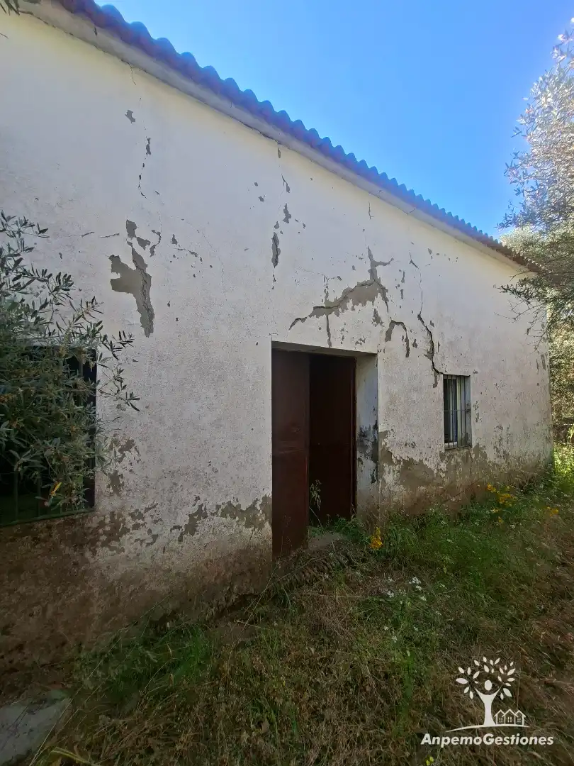 Exterior view of Land for sale in Las Navas de la Concepción