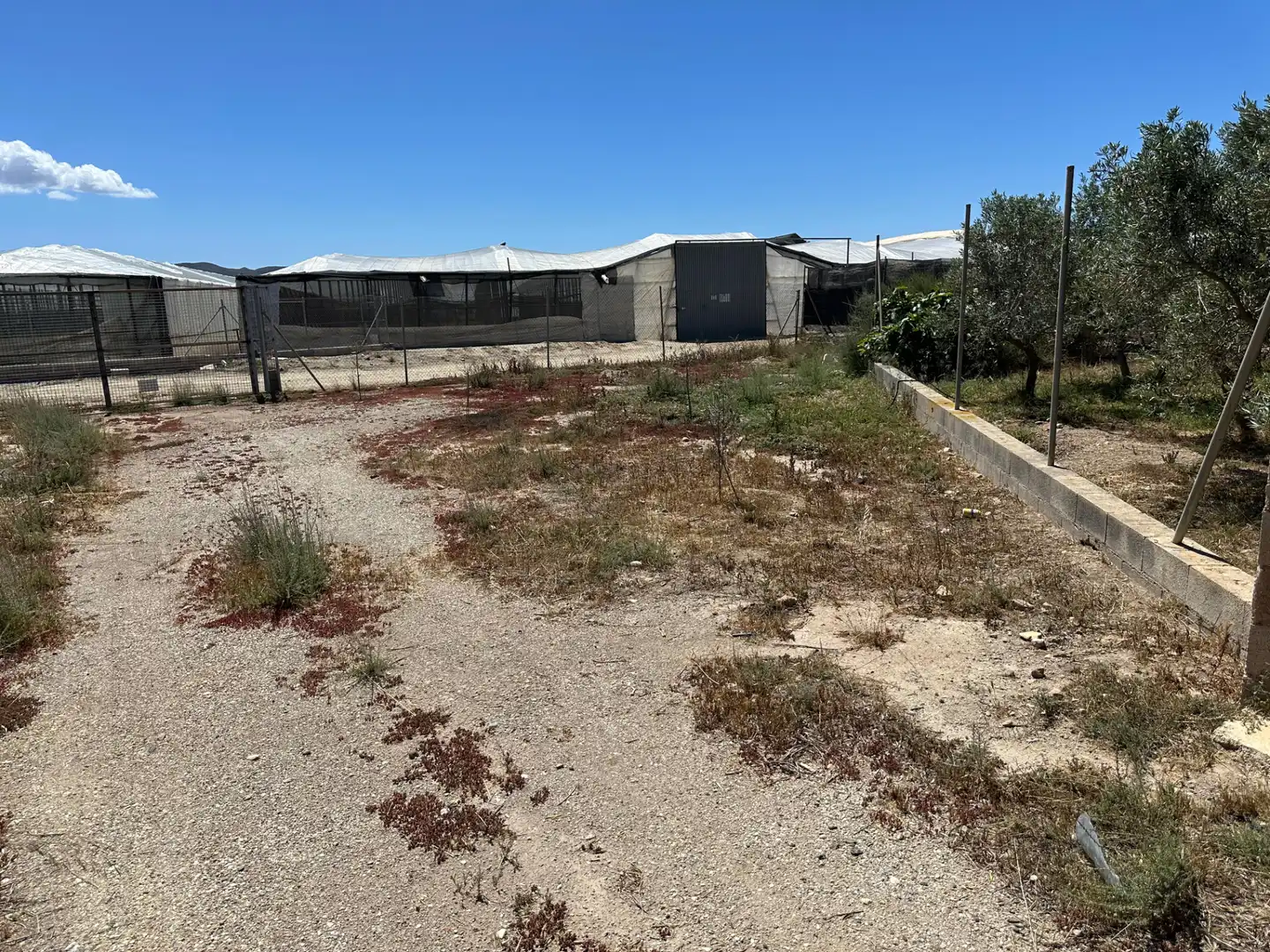 Finca rústica en venda en Níjar amb Moblat