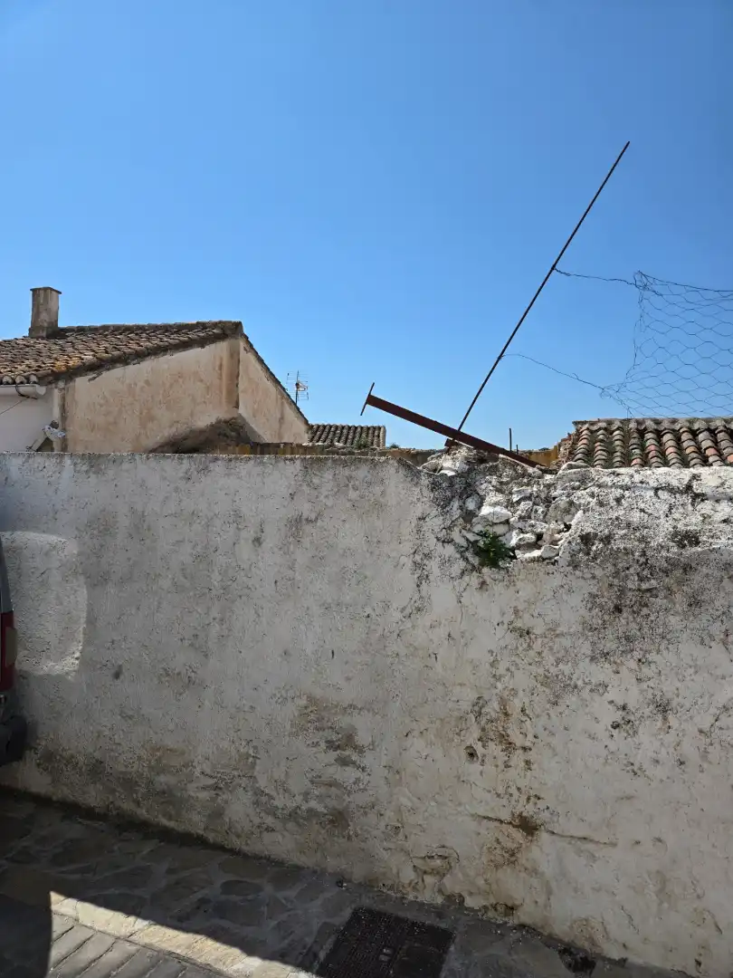 Vista exterior de Finca rústica en venta en Alcaucín