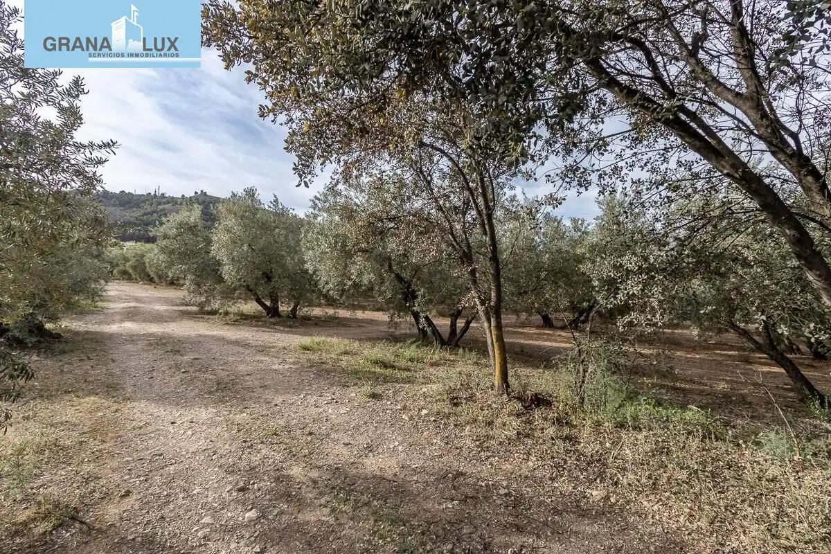 Terreno residencial en venta en Calle Pago de la Sierra, imagen 4