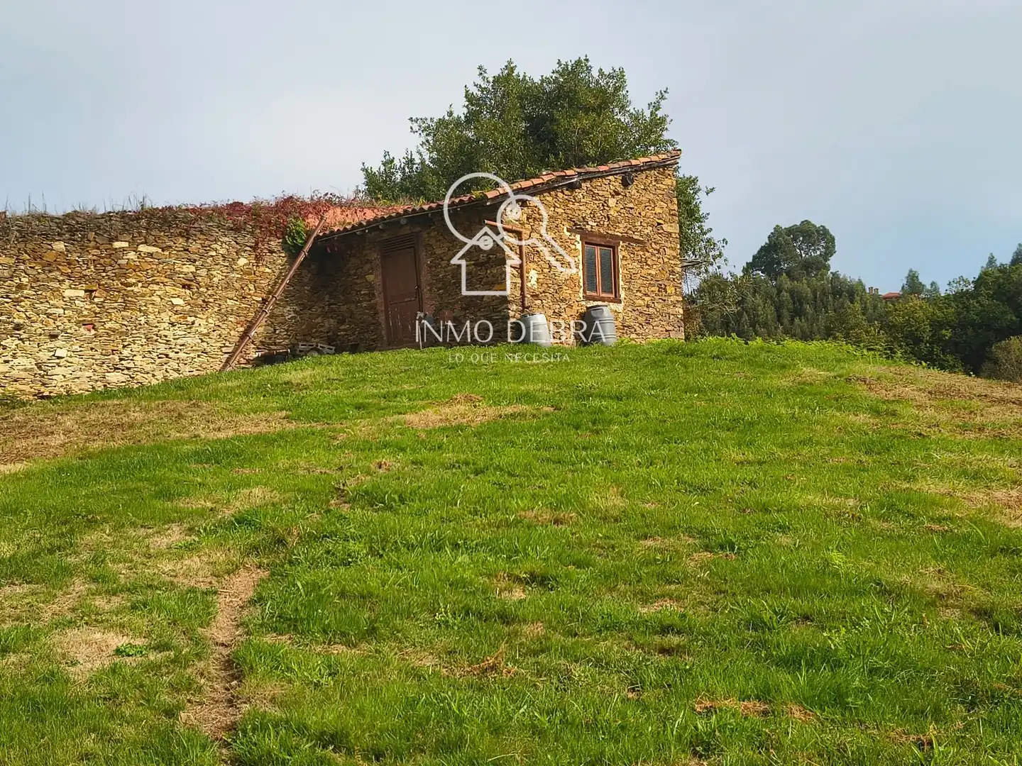 Terrain rustique à vendre à N/A, imagen 16