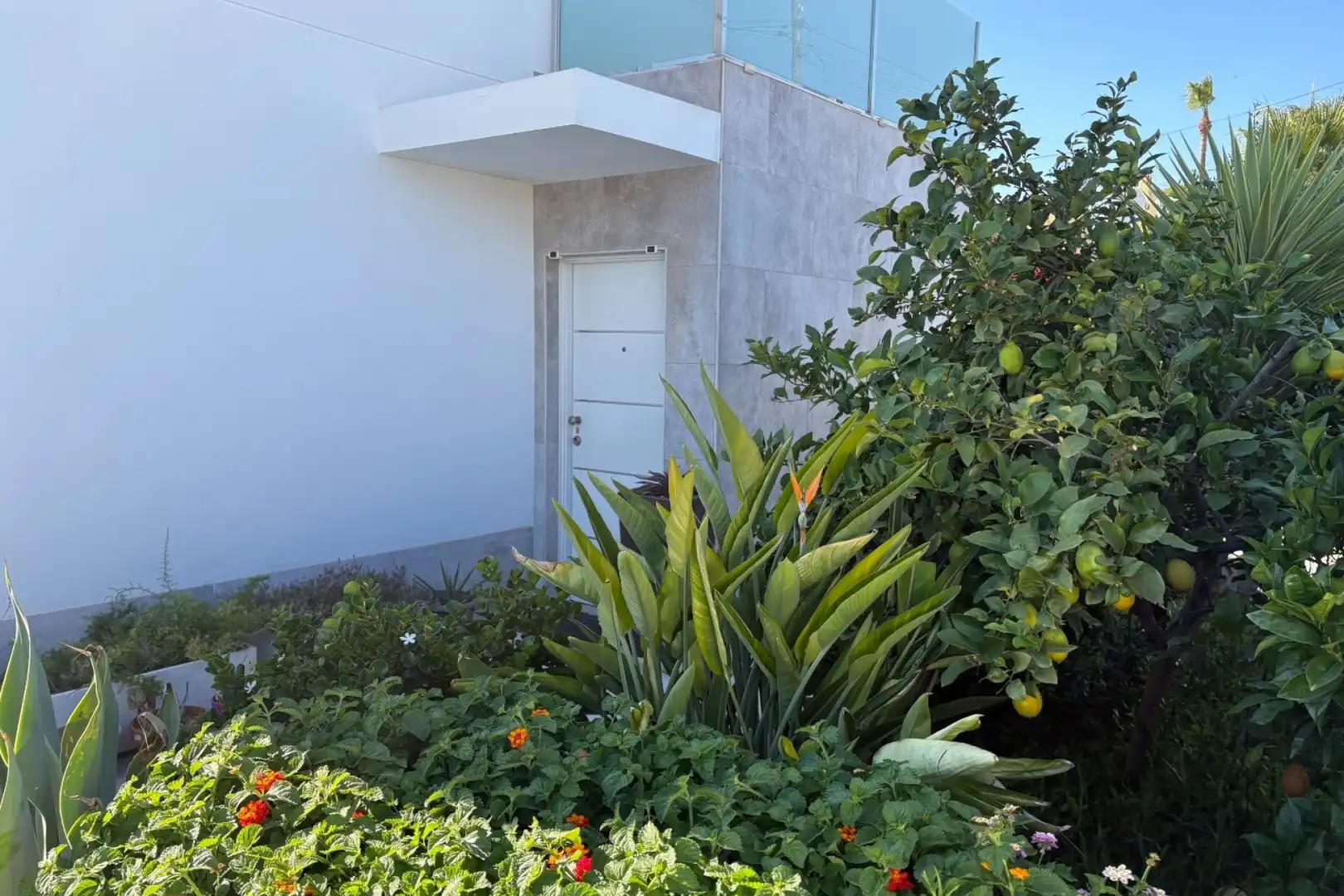 Vista exterior de Casa o xalet en venda en Torrevieja amb Aire condicionat, Calefacció i Jardí privat