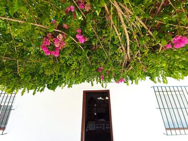 Villa à vendre à C/ Playa de Las Tres Piedras