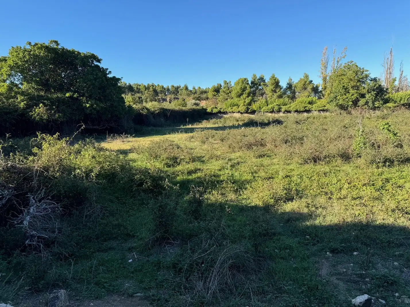Rural land for sale in Zn Diseminats 8, imagen 13