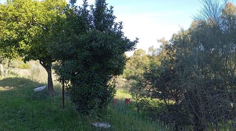 Finca Rústica a 10 Minutos de Cáceres El Refugio Perfecto, imatge 4