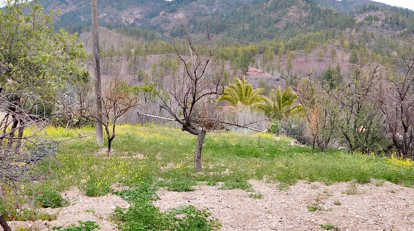 Finca rústica en venda en San Bartolomé de Tirajana amb Jardí privat