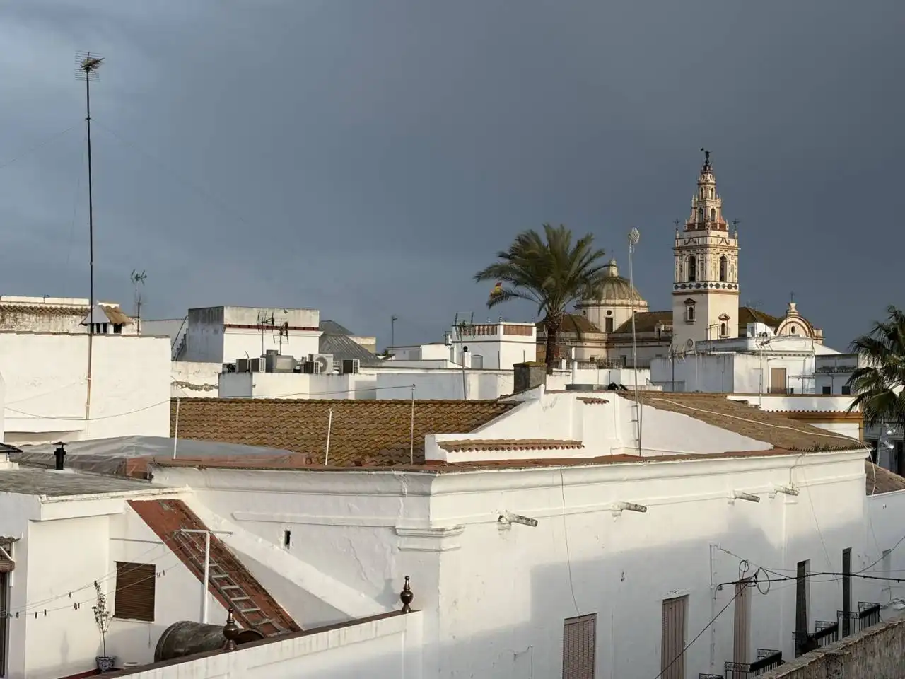 Vista exterior de Ático en venta en Moguer con Jardín privado y Terraza
