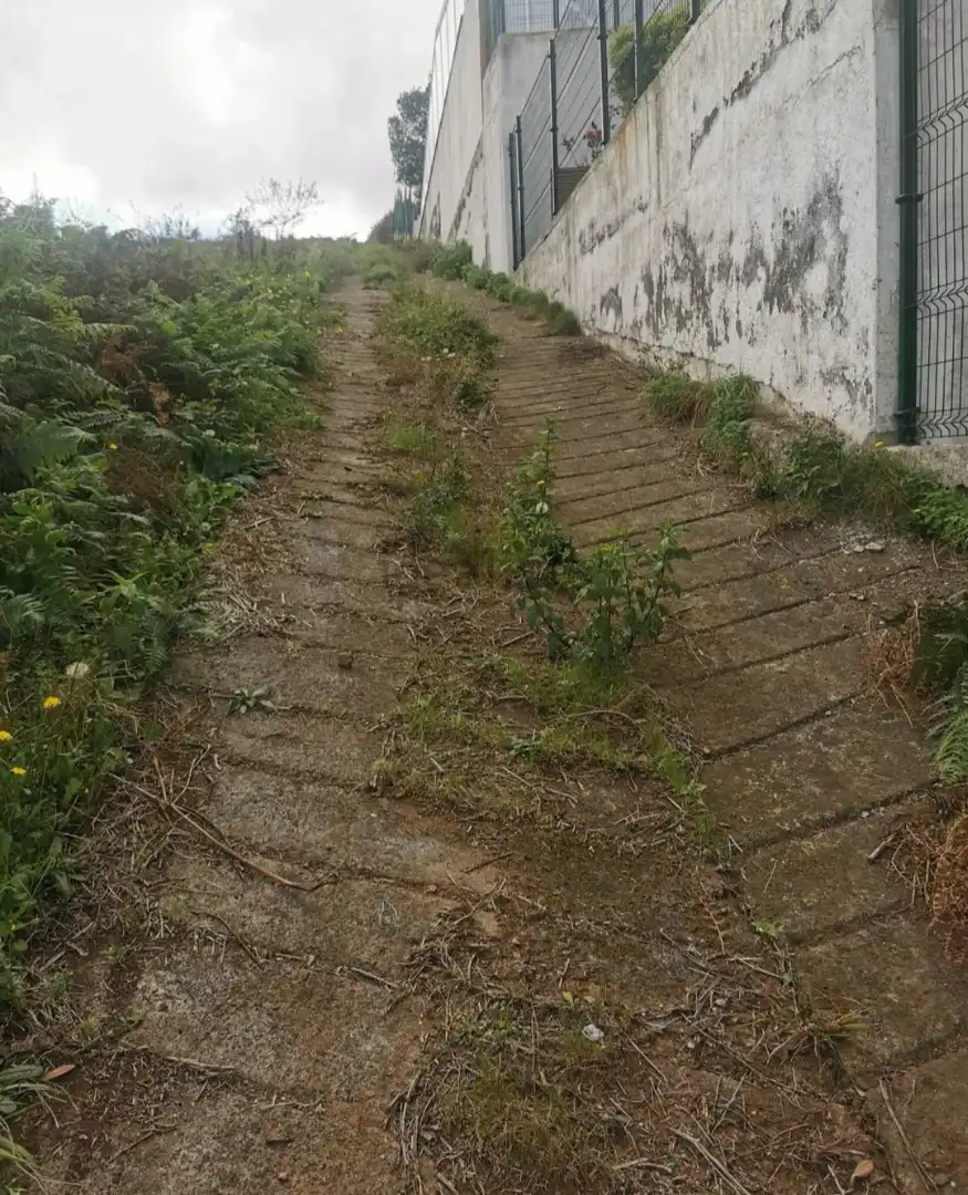 Terreno rústico en venta en Calle León, imagen 16