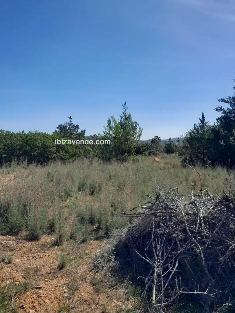Terreno en venta en Es Canar, Sant Carles