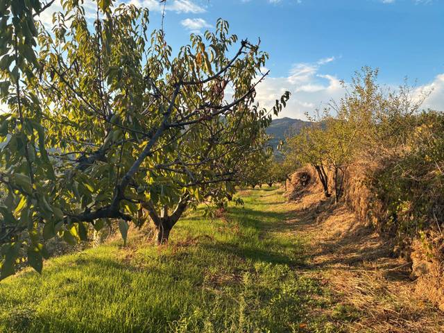 Terreno en Venta en Calle la Raiz, 52 en Casas del Castañar