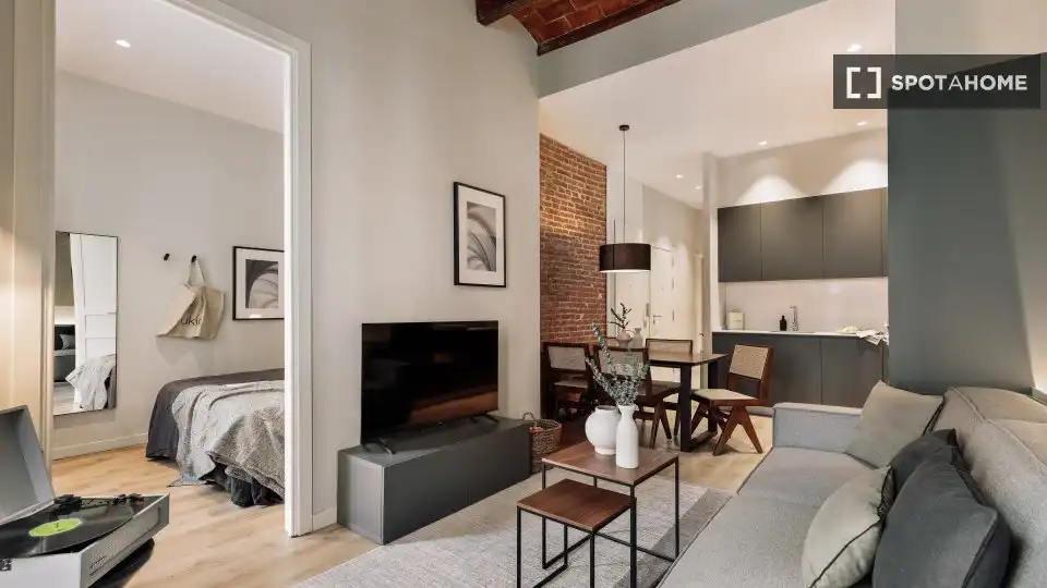 Sala de estar de Piso de alquiler en Barcelona con Aire acondicionado, Calefacción y Amueblado
