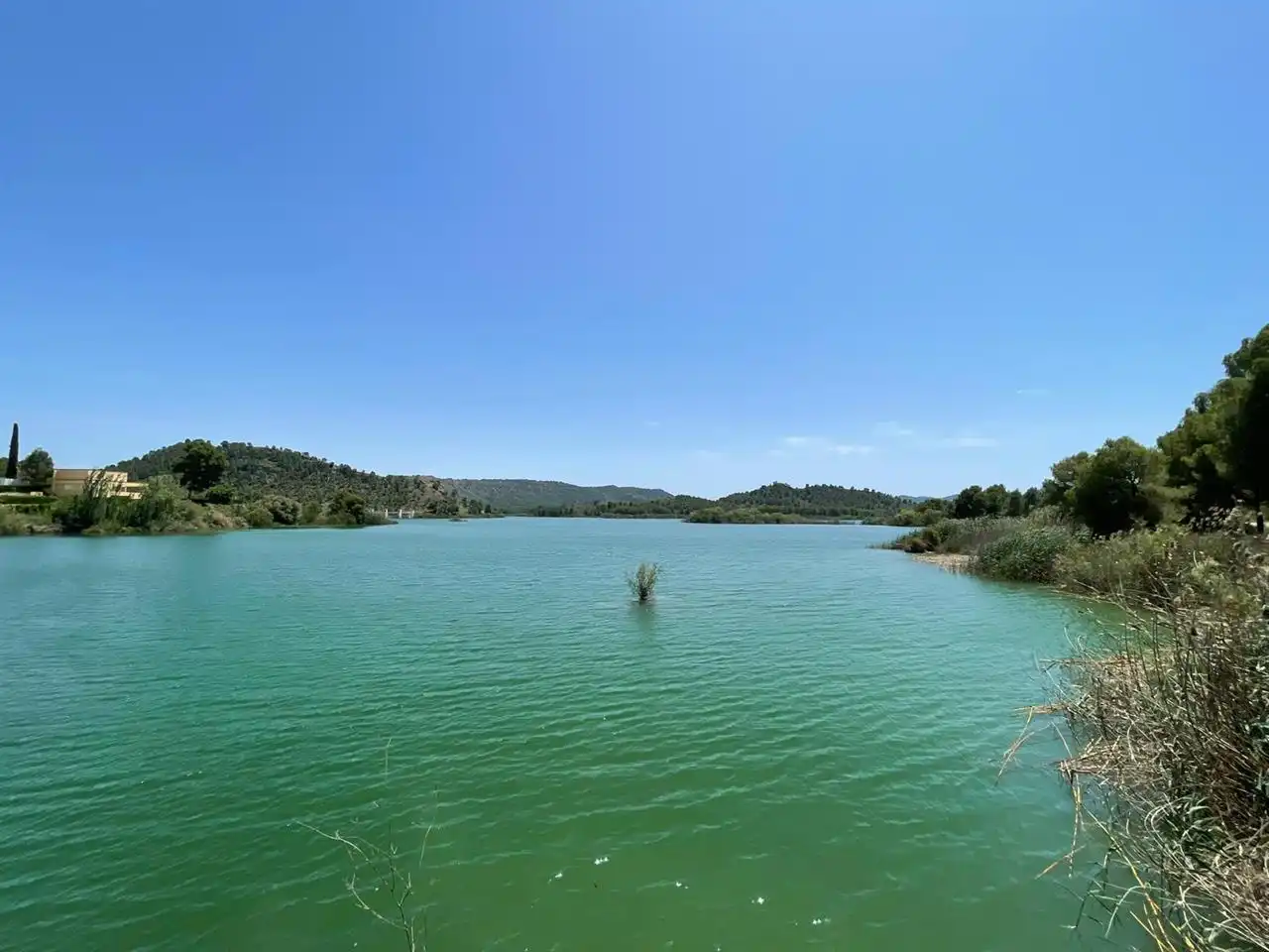 Villa avec piscine à vendre à Calasparra, imagen 43