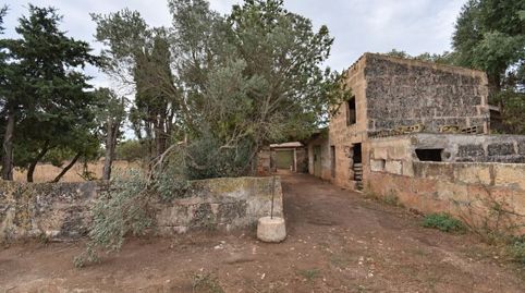 Foto 4 de Finca rústica en venta en Muro, Illes Balears