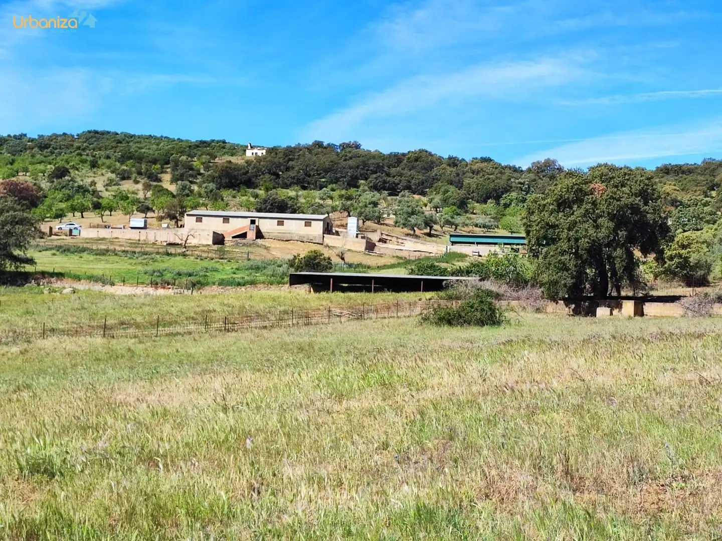 Land for sale in Salvaleón