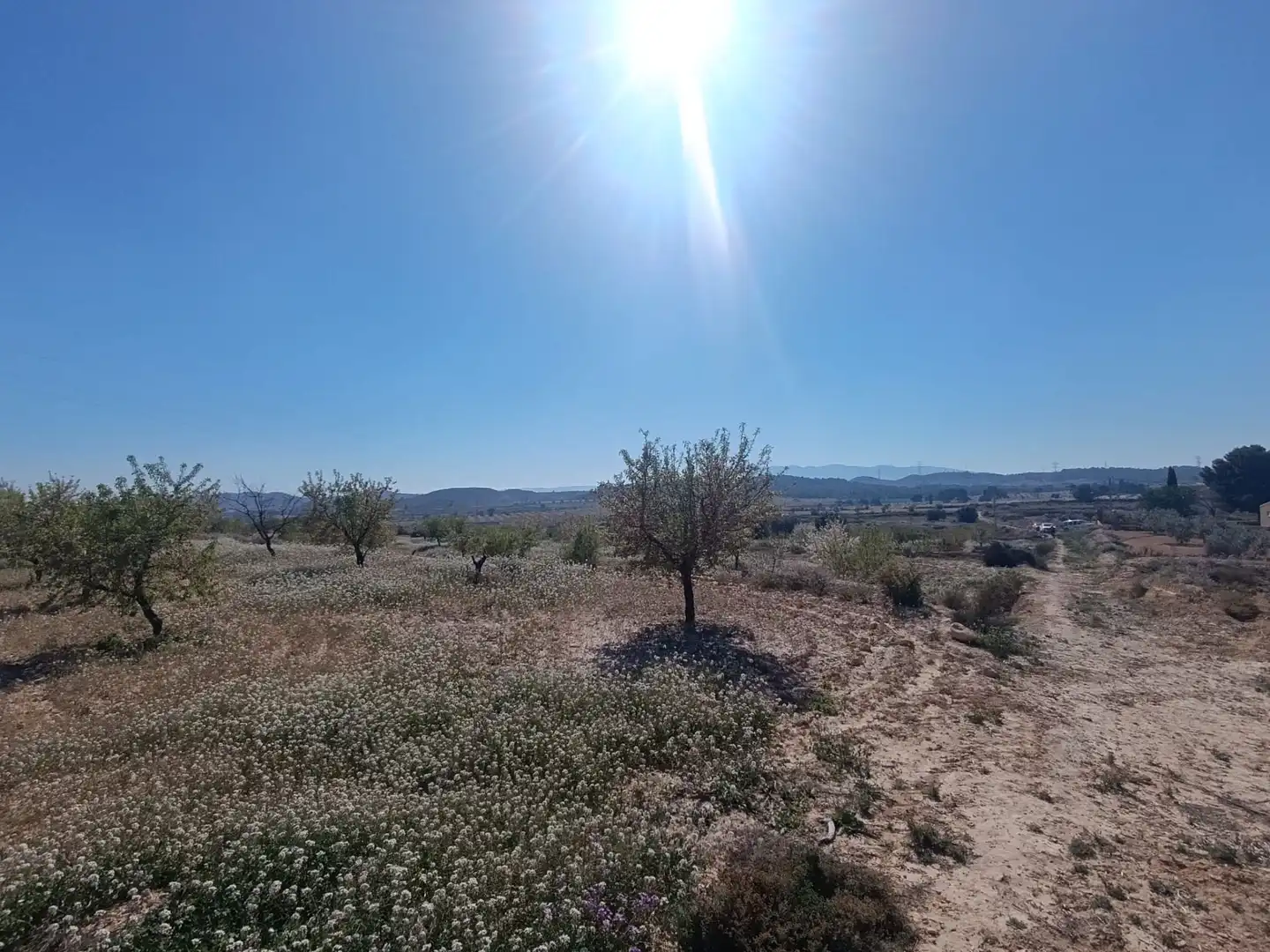 Terreno rustico in vendita a Alcantarilla, imagen 6