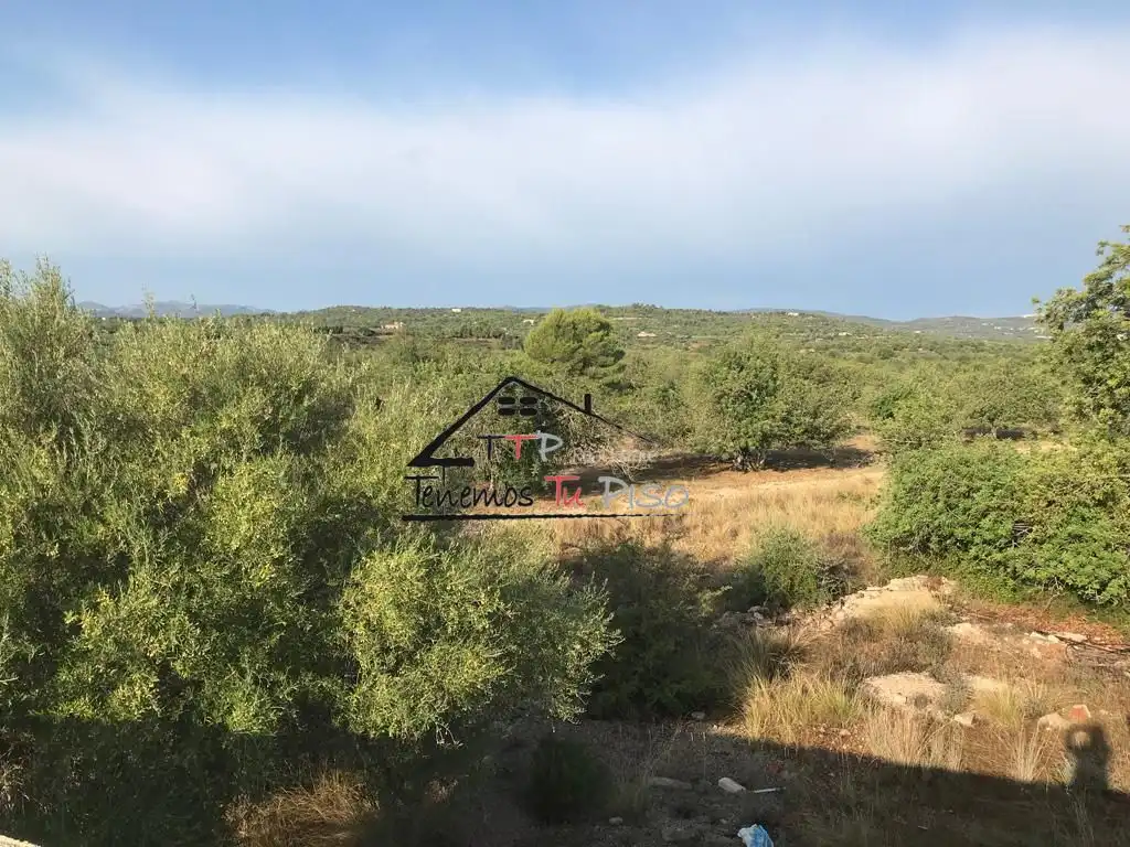 Rural land for sale in Poligono 43, Parcela 171, imagen 9