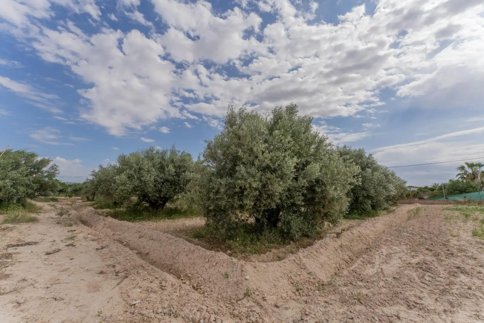 Casa o xalet en venda en Crevillent amb Piscina