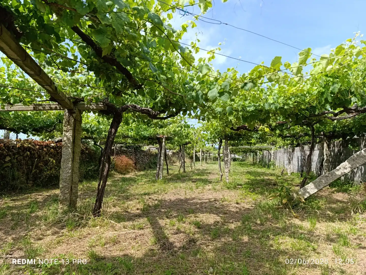 Terreno residencial en venta en Rúa Ribeira de Mouta 5, imagen 9