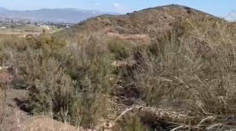 FINCA RÚSTICA DE 28.000 CON CASA EN LA GALERA, PURIAS, immagine 3