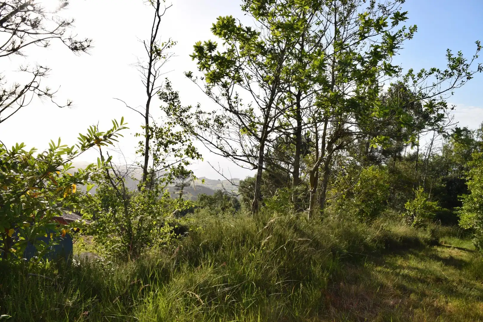 Casa o chalet en venta en Cudillero