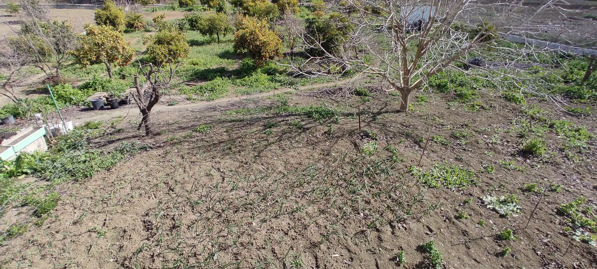 Finca rústica en venda en Coín amb Jardí privat, Terrassa i Piscina