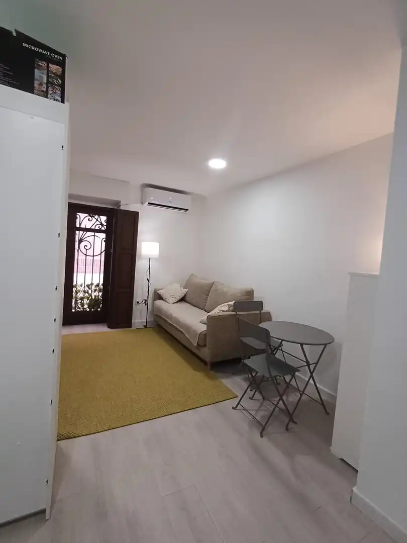 Sala de estar de Estudio de alquiler en Murcia con Aire acondicionado, Calefacción y Amueblado