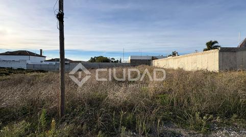 Foto 5 de Terreny en venda a Monteolivete - Camino Sevilla, Cádiz