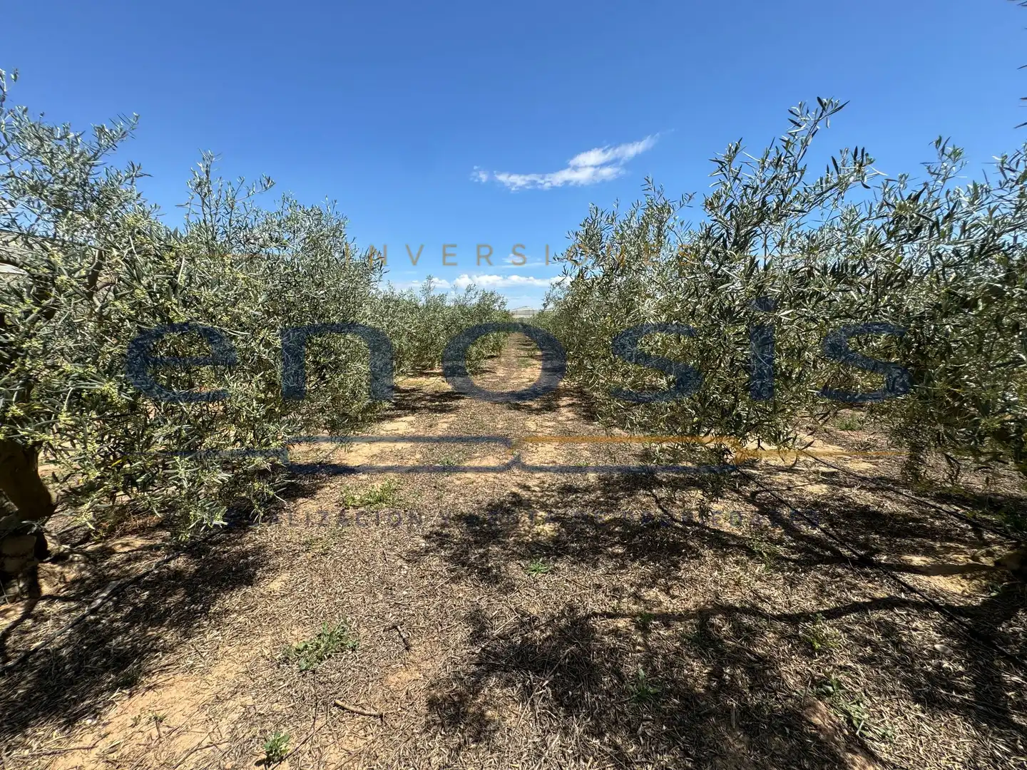 Finca rústica en venda en Torre-Pacheco amb Aire condicionat