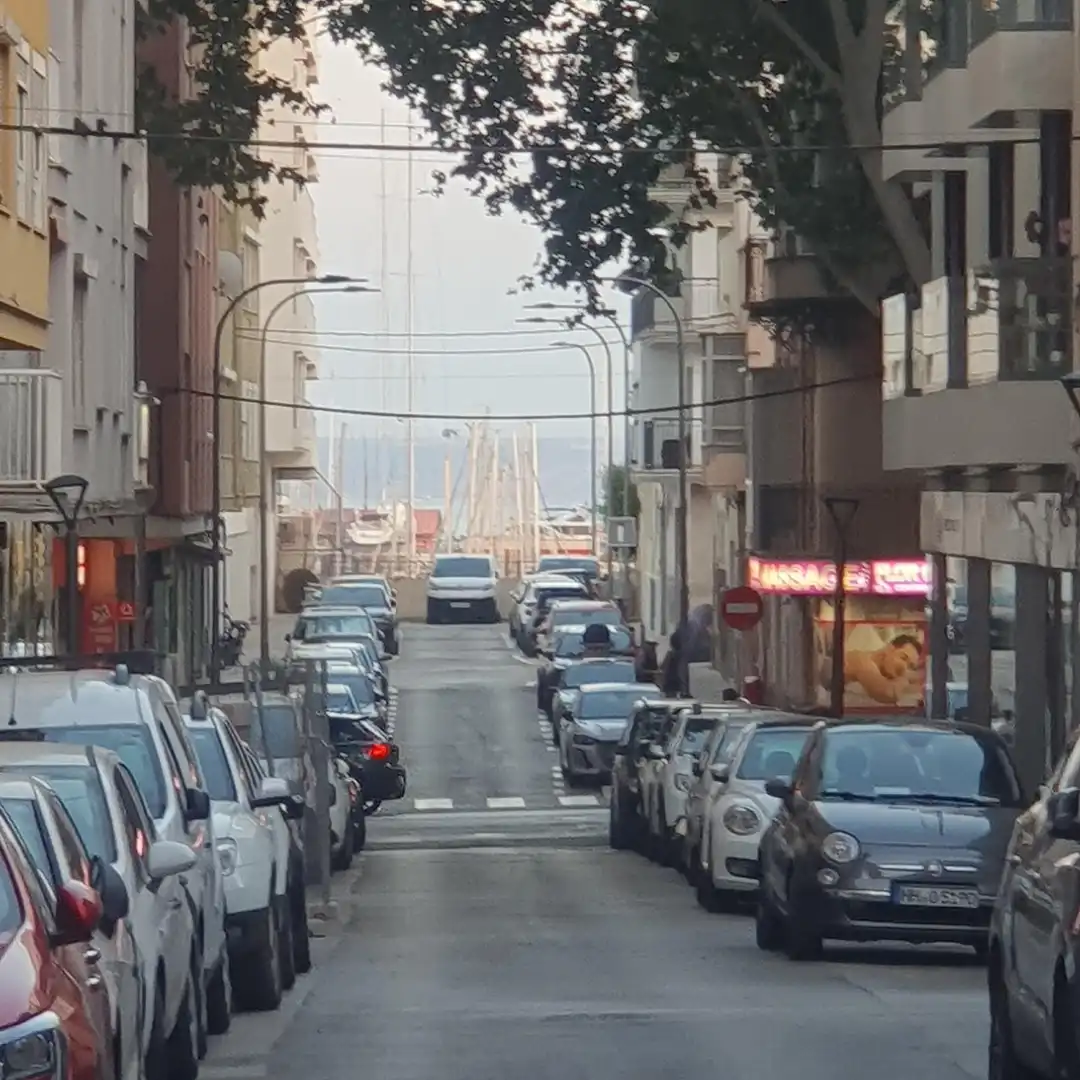 Vista exterior de Pis en venda en  Palma de Mallorca amb Aire condicionat, Parquet i Terrassa