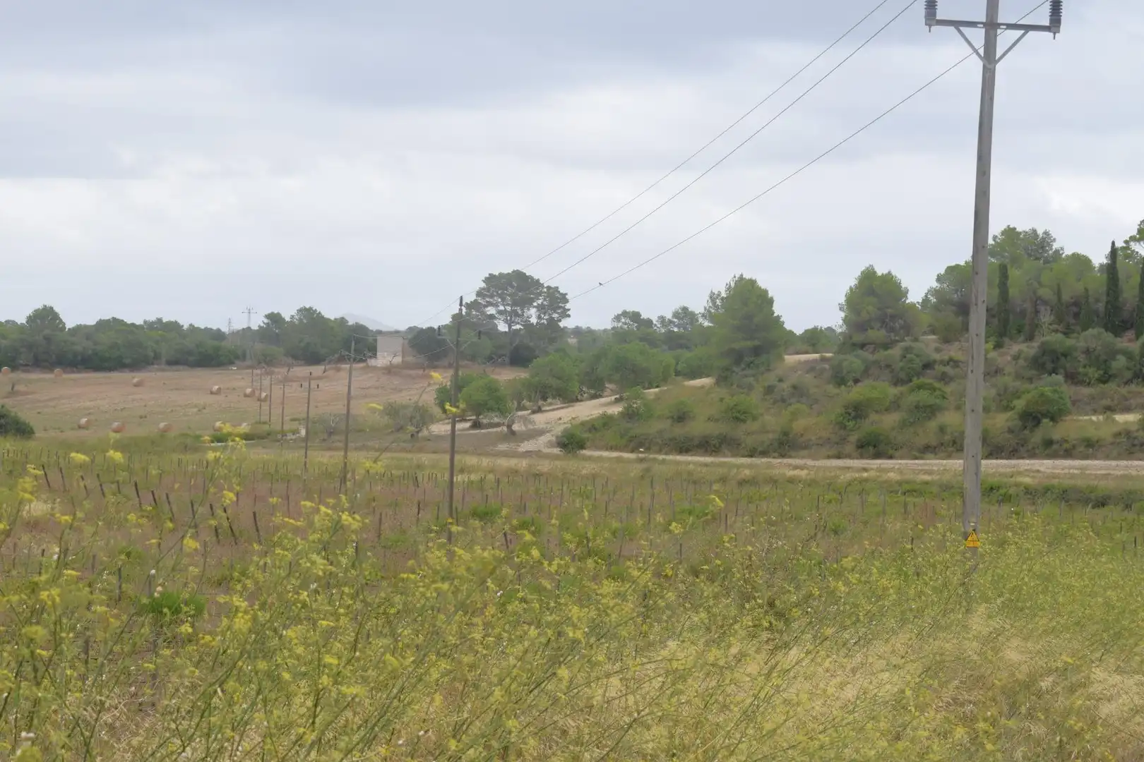 Residential land for sale in Santa Margalida Poble, imagen 22
