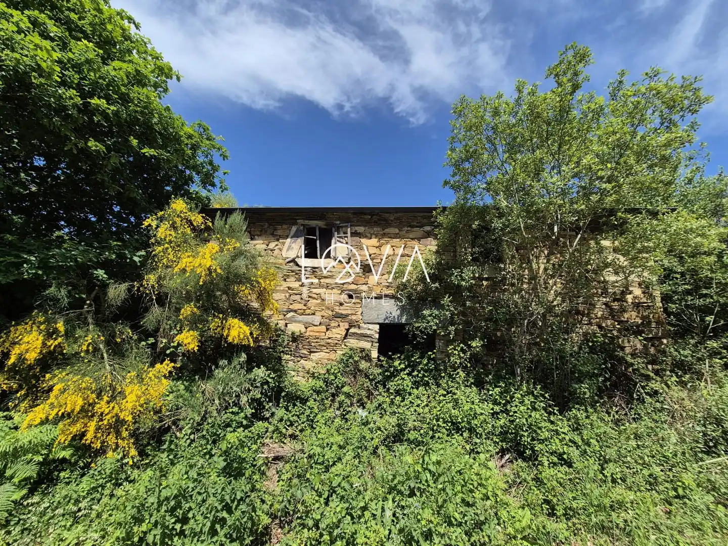 Exterior view of Houses for sale in Santa Eulalia de Oscos