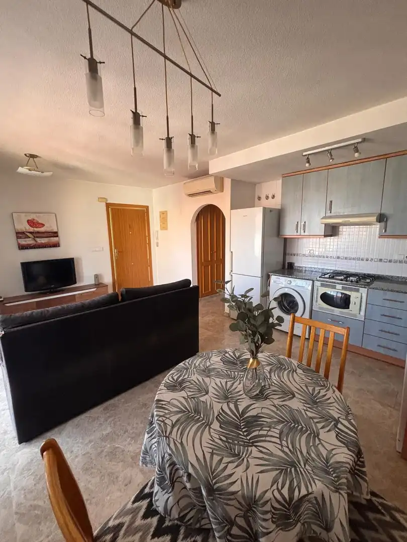 Maison avec terrasse à vendre à Calle  I'Aigualera, imagen 15