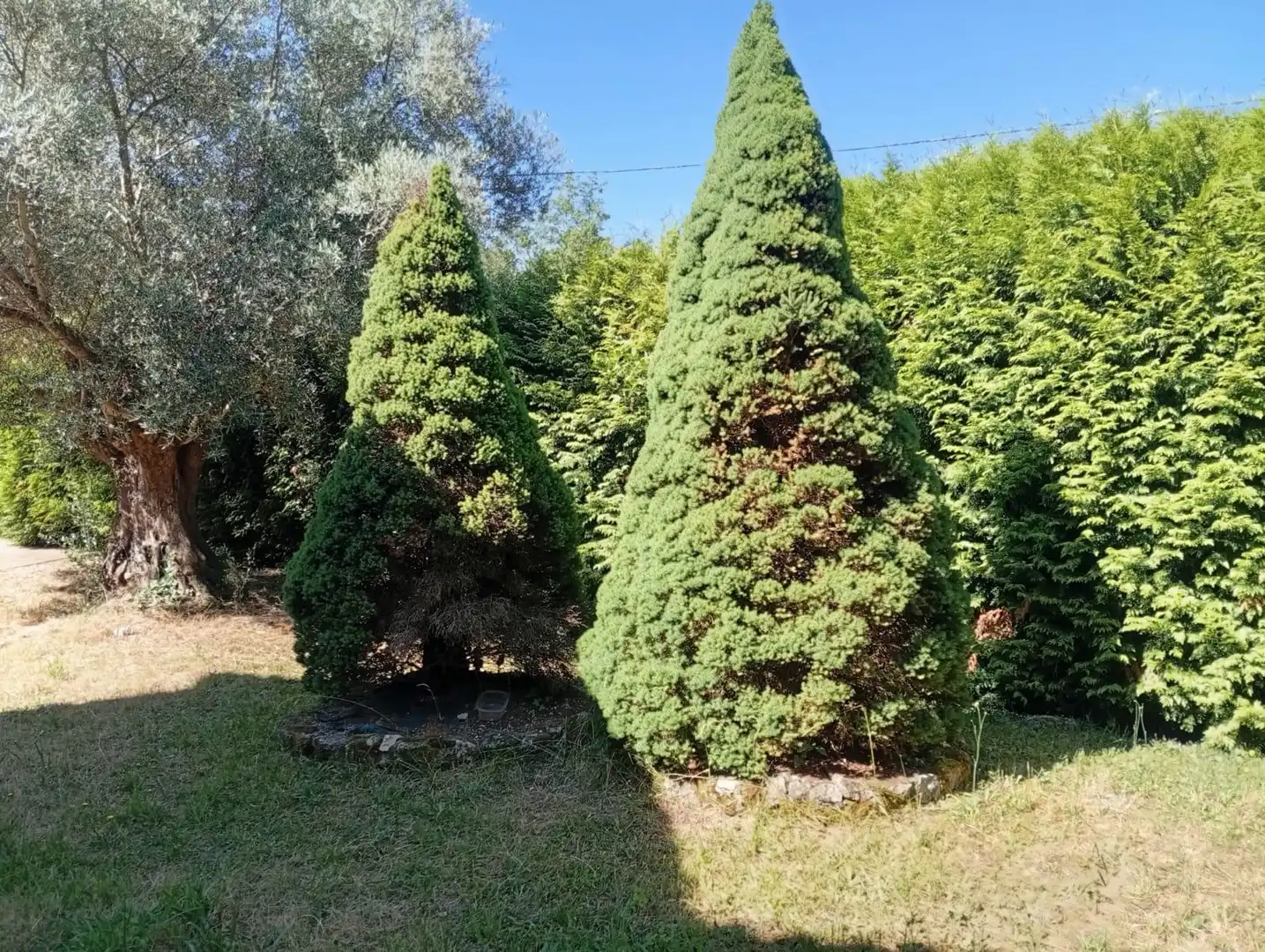 Jardí de Casa o xalet en venda en Lobios