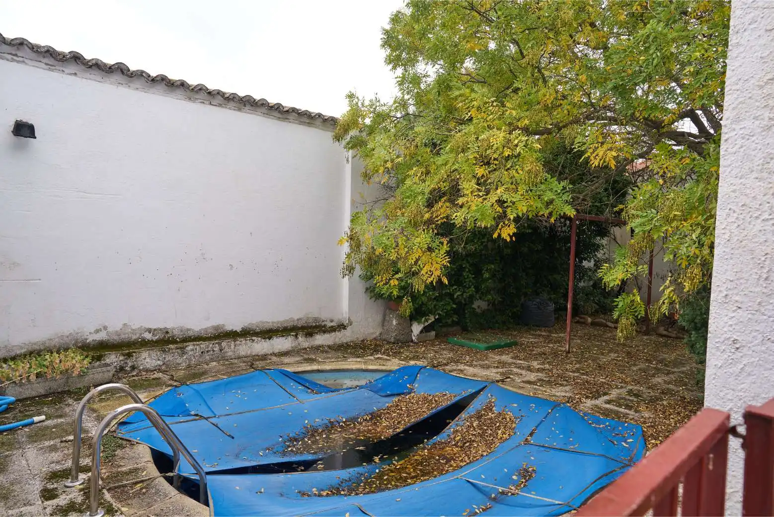 Garden of Detached homes for sale in Valdetorres de Jarama  with Private garden, Terrace and Swimming Pool