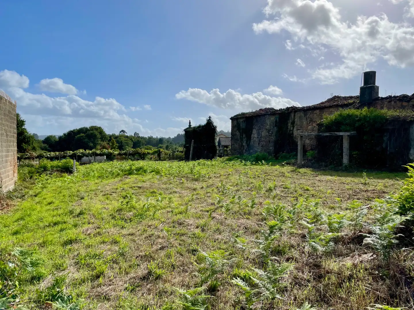 Country homes for sale in Teo