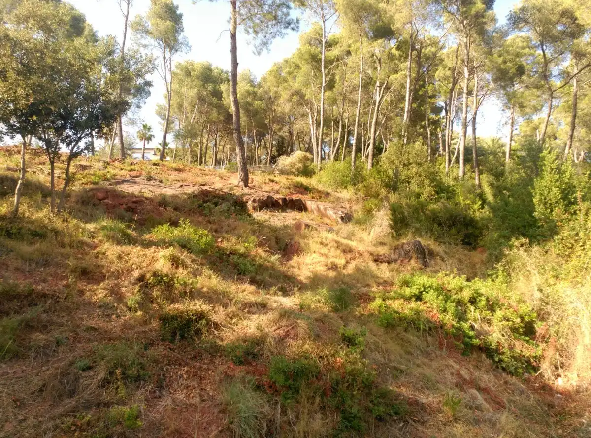 Terreni e lotti in vendita a Corbera de Llobregat, imagen 22