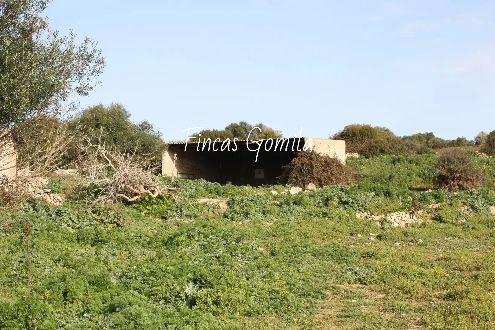 Finca rústica en venta en Alaior