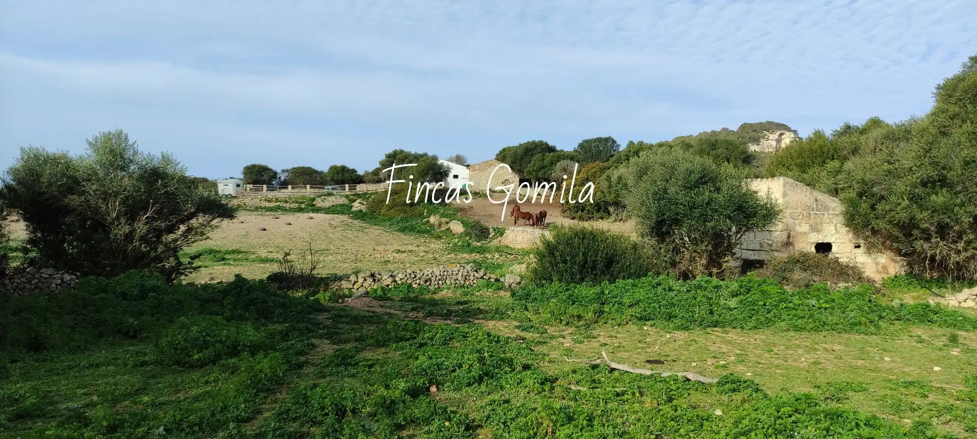 Finca rústica en venta en Alaior