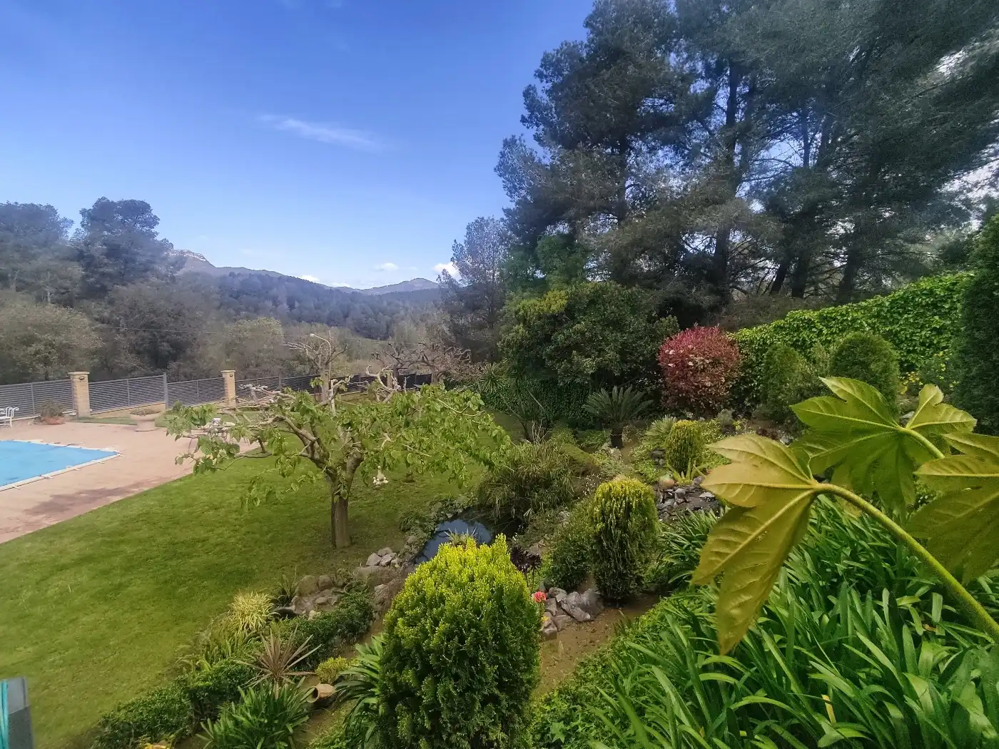 Jardín de Casa o chalet en venta en Riudecanyes con Aire acondicionado, Jardín privado y Terraza