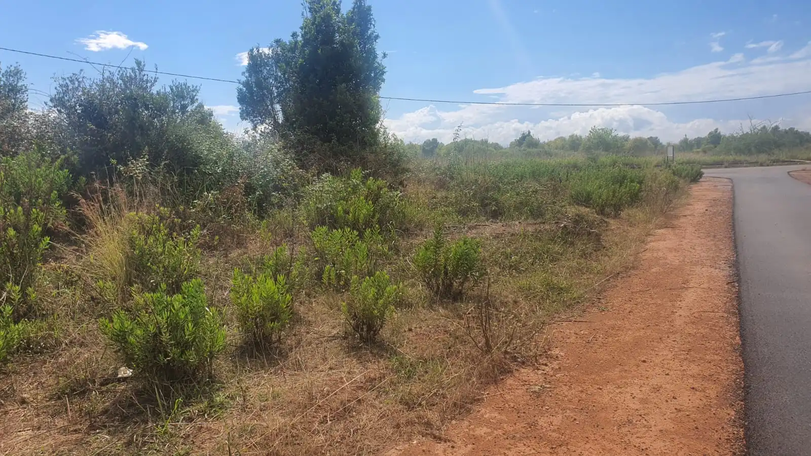 Terreno residencial en venta en Centro, imagen 6