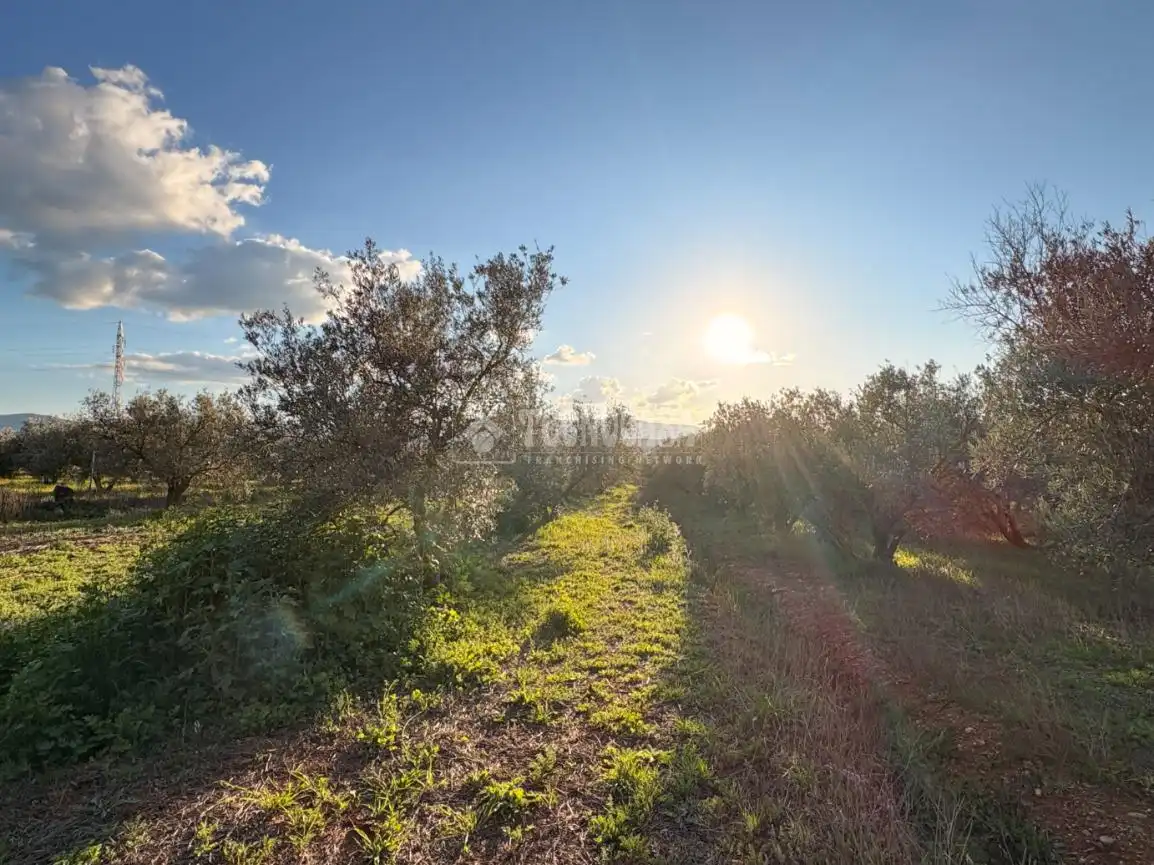 Rural land for sale in Dúrcal, imagen 7