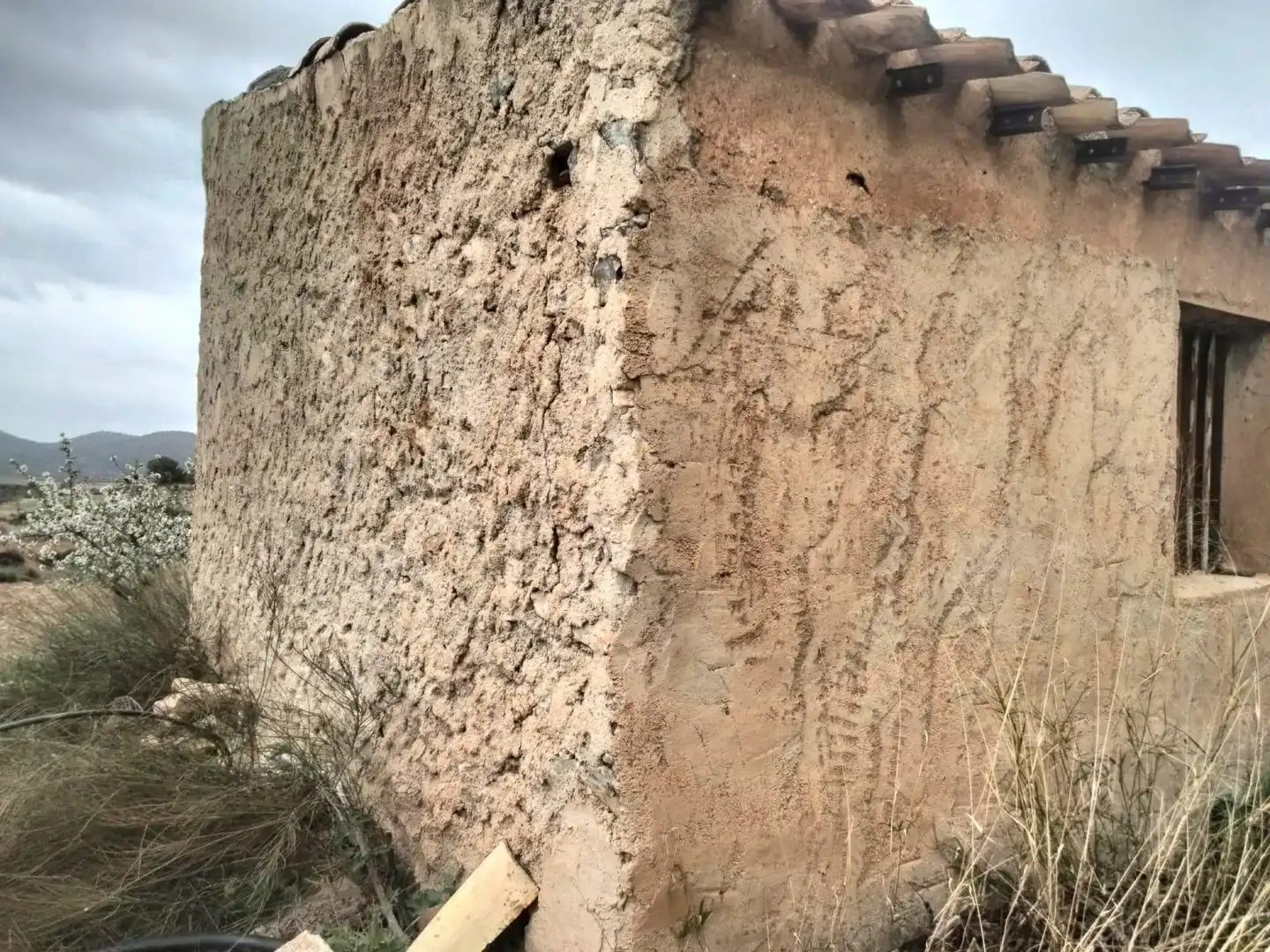 Terrenys i solars en venda a Bullas, imagen 17