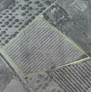 Rural land for sale in Carretera Vell de Benicarló a Càlig